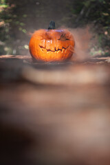 Smoking jack o' lantern in the forest