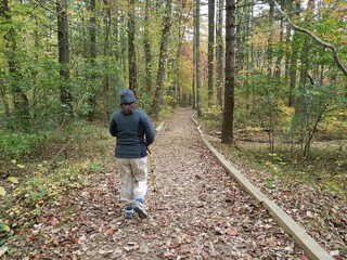 Hiker walking a trail. 