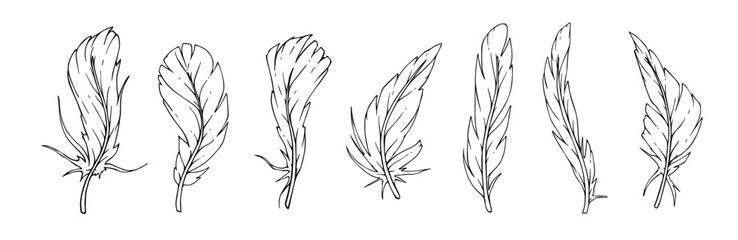 Set of line sketches of bird feathers. Vector graphics.