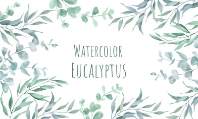 Watercolor floral background with eucalypt leaves. Hand drawn illustration isolated om white. Vector EPS.