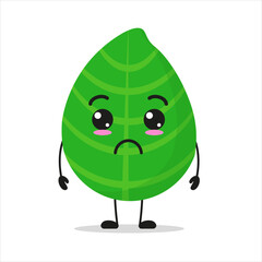 Cute sad basil character. Funny unhappy ingredient cartoon emoticon in flat style. closet vector illustration