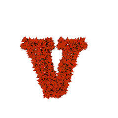 Symbol from red leaves. letter v