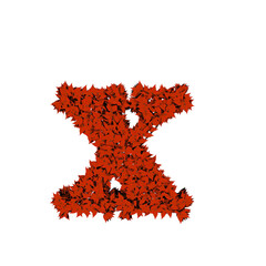 Symbol from red leaves. letter x