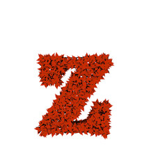 Symbol from red leaves. letter z