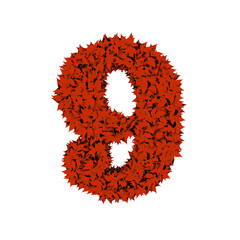 Symbol from red leaves. number 9