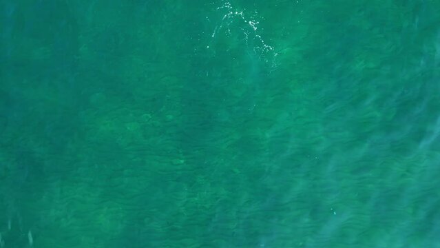 view from a drone of the sea or ocean.