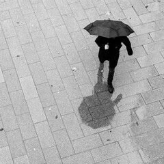 under an umbrella in the rain