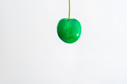 detail of ripe green cherry with peduncle in the center of the image.   white background