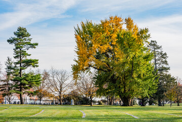 Walking Among the Graves in Soldiers National Cemetery on a Fall Afternoon, Gettysburg PA USA