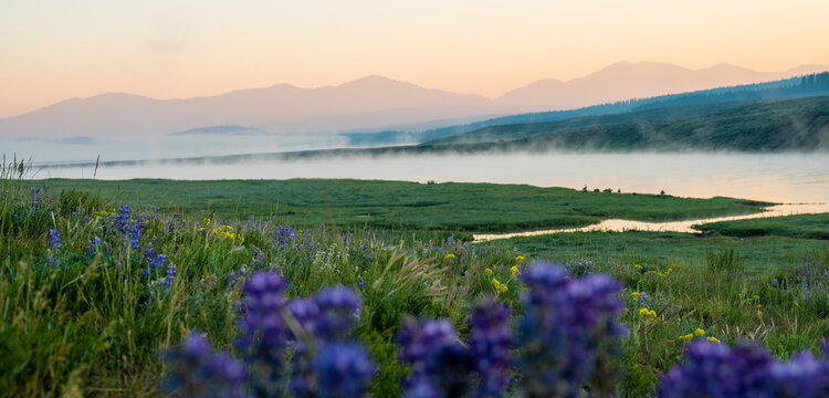 Fog layers Rols Along Top of Yellowstone River