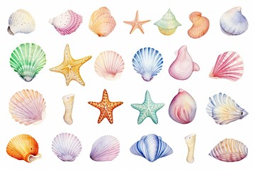Set of cartoon pictures of sea shells Watercolor technique style on white background. - obrazy, fototapety, plakaty