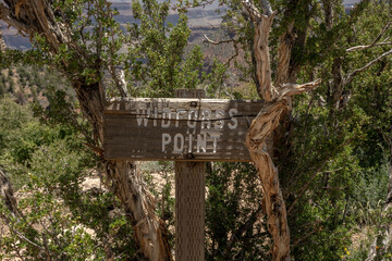 Cracking Widforss Point Sign On The North Rim of Grand Canyon