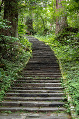 The approach to Mt. Haguro230822-1