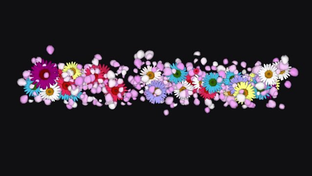 Title Plate Flowers - Daisies and Clower Grass - Alpha Channel - Artistic 3D animation isolated on transparent background