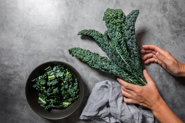 person holding fresh green kale leaves, top view, space for text