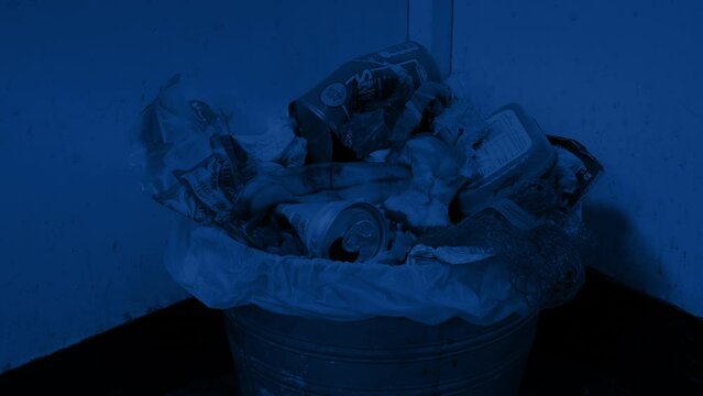 Passing Trash Can In The Dark