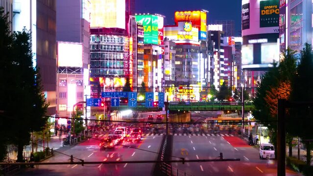 東京新宿夜景　タイムラプス 溢れる群衆と歌舞伎町のギラギラした景観