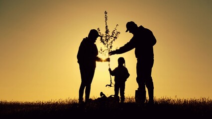 Loving family with kid planting tree silhouettes in country field at dusk