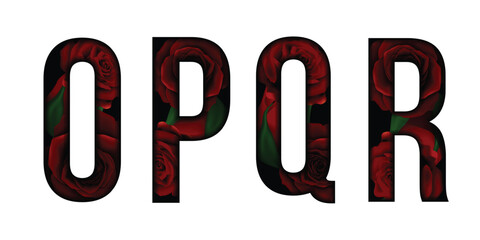 Red roses flower font Alphabet o, p, q, r, text effect. Made of Real rose with Precious paper cut shape of letter. Collection of brilliant roses font for unique decoration in spring concept idea
