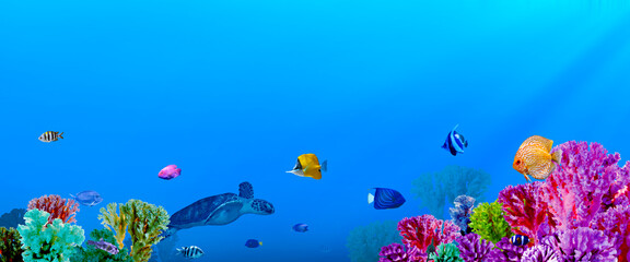 Fototapeta na wymiar Beautiful corals, different fishes and turtle in sea, banner design. Underwater world