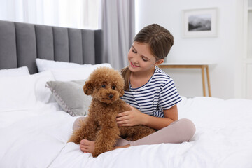 Little child with cute puppy on bed at home. Lovely pet