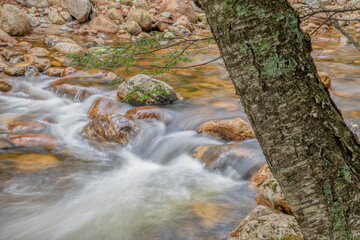 Saco River and Maggie's Run Trail, Crawford Notch, New Hampshire