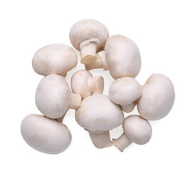 Many fresh champignon mushrooms isolated on white, top view