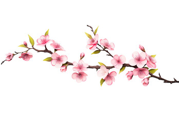 Naklejka na ściany i meble Sakura blossom branch. Falling petals, flowers. Isolated flying realistic japanese pink cherry or apricot floral elements fall down vector background. Cherry blossom branch, flower petal illustration