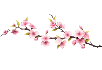 Fotobehang Sakura blossom branch. Falling petals, flowers. Isolated flying realistic japanese pink cherry or apricot floral elements fall down vector background. Cherry blossom branch, flower petal illustration © Happy Stock
