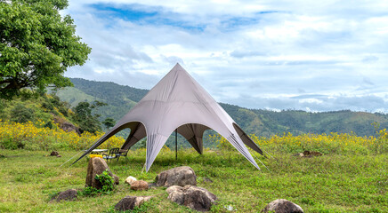 Camping tent with beautiful mountain natural scenery of wildflower fields in Pleiku, Gia Lai...