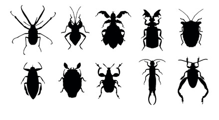 set of silhouettes of insects vector eps 10