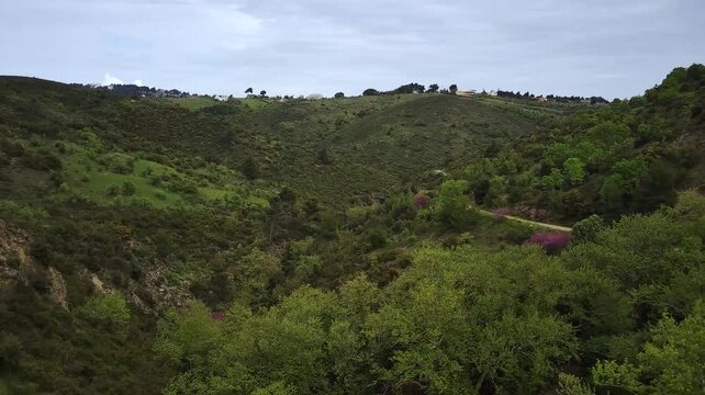 Drone footage of a narrow road on green rolling hills with dense trees and plants on a cloudy day