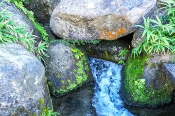 コンコンと湧き出る湧き水の情景