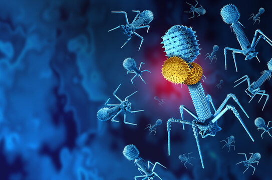 Vampire virus as a small MiniFlayer Phage attaching itself to another helper Bacteriophage that infects viruses to replicate as a virology symbol of a pathogen attacking bacteriophages on a blue backg