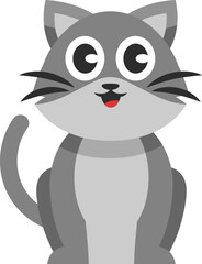 Cute Grey Cat