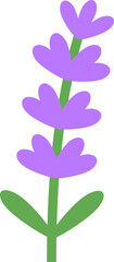 Cute Lavender Illustration