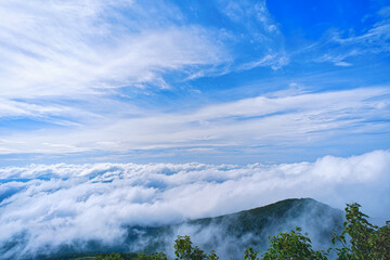 雲海 / Sea of clouds