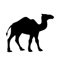 Camel silhouette vector. Dromedary silhouette can be used as icon, symbol or sign. Camel icon vector for design of desert, sahara, africa or journey
