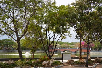 Obraz premium spring in the park