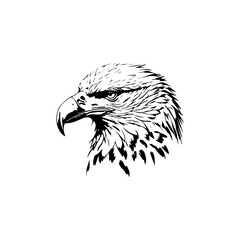 A black and white vector of an eagle head
