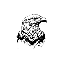 A black and white vector of an eagle head