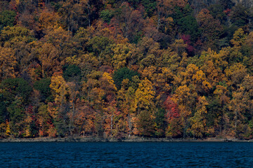 Autumn foliage along the Palisades Interstate Park