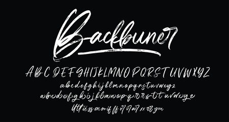 Font Script Brush Texture Calligraphy Font Type lettering handwritten