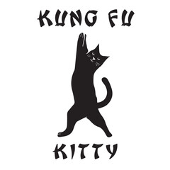 black cat kung fu kitty