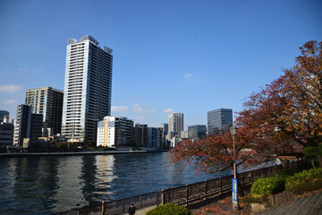 Obraz premium 東京都心の隅田川