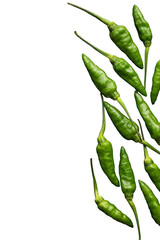 green chili pepper isolated on transparent background. PNG format