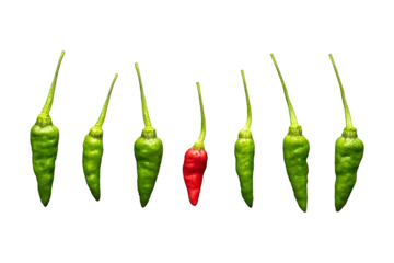 Fotobehang green chili pepper isolated on transparent background. PNG format © Maulana ahmad sidiq