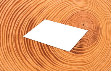 Professional Letterhead, Flyer, Fax Cover, Invoice, Note Paper a4 size blank JPG file