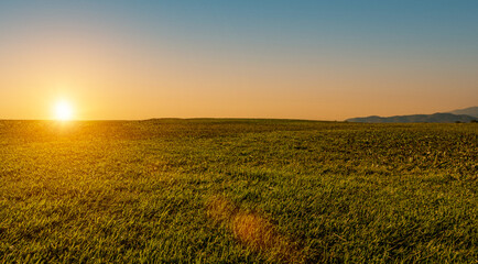beautiful grass field with sunset or sunrise sky. Countryside landscape view background.