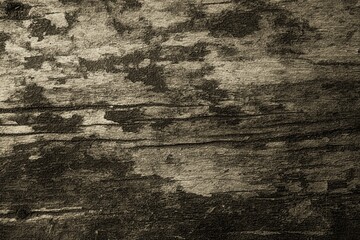 Decayed and damaged rough wood background or gray-black gradient stains